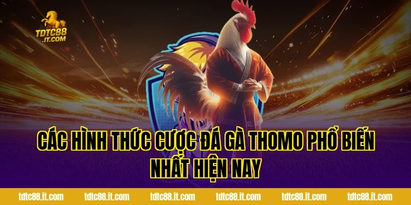 Các hình thức cược đá gà Thomo phổ biến nhất hiện nay