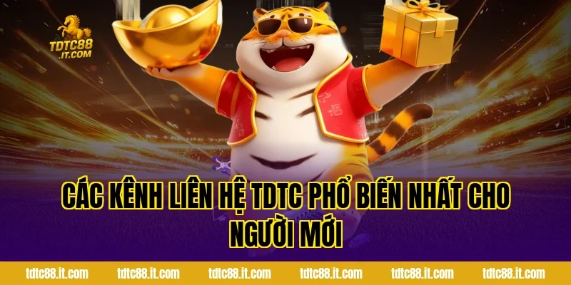 Các kênh liên hệ TDTC phổ biến nhất cho người mới