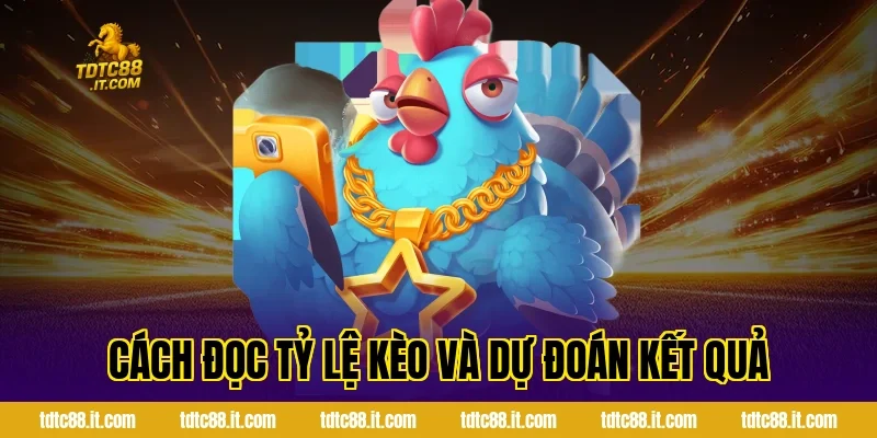 Cách đọc tỷ lệ kèo và dự đoán kết quả