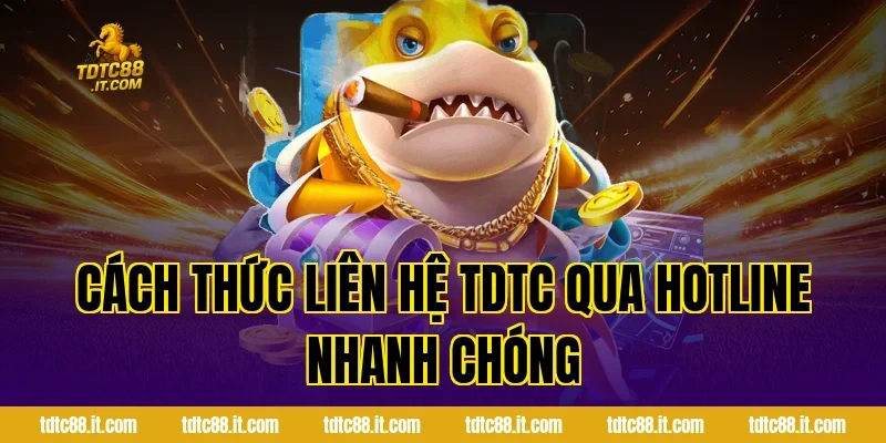 Cách thức liên hệ TDTC qua hotline nhanh chóng