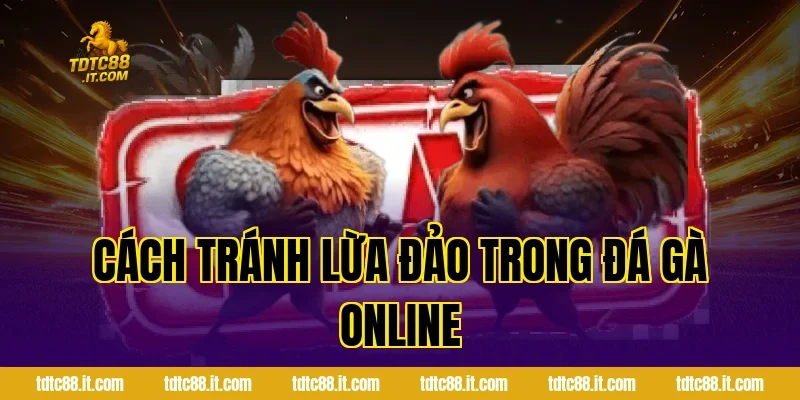 Cách tránh lừa đảo trong đá gà online