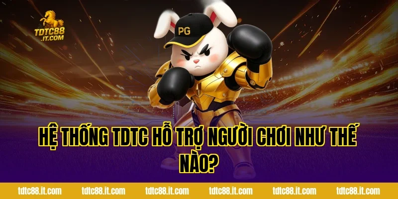 Chơi Có Trách Nhiệm TDTC – Cam Kết Giải Trí An Toàn 4 Hệ thống TDTC hỗ trợ người chơi như thế nào?