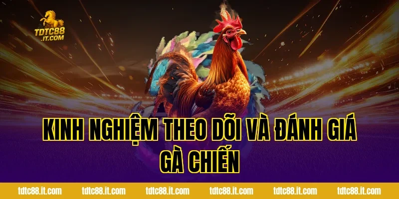 Kinh Nghiệm Theo Dõi Và Đánh Giá Gà Chiến