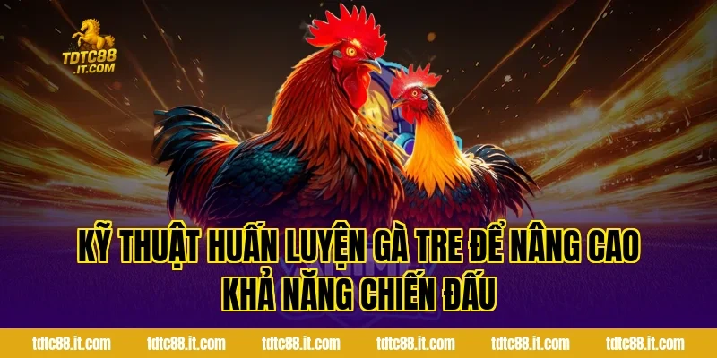 Kỹ Thuật Huấn Luyện Gà Tre Để Nâng Cao Khả Năng Chiến Đấu