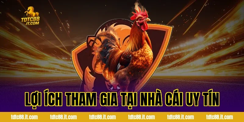 Lợi ích tham gia tại nhà cái uy tín