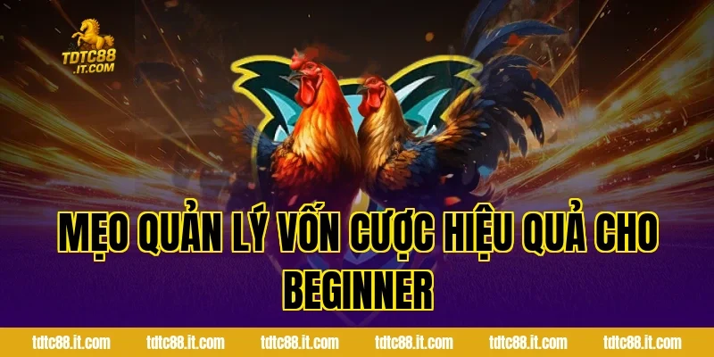 Mẹo quản lý vốn cược hiệu quả cho beginner