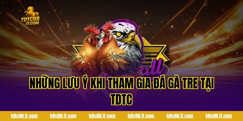 Những Lưu Ý Khi Tham Gia Đá Gà Tre Tại TDTC