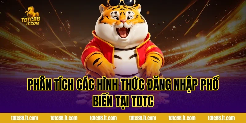 Phân Tích Các Hình Thức Đăng Nhập Phổ Biến Tại TDTC