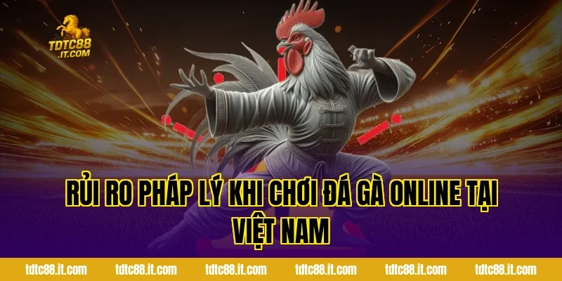 Rủi ro pháp lý khi chơi đá gà online tại Việt Nam