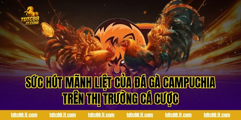Sức Hút Mãnh Liệt Của Đá Gà Campuchia Trên Thị Trường Cá Cược