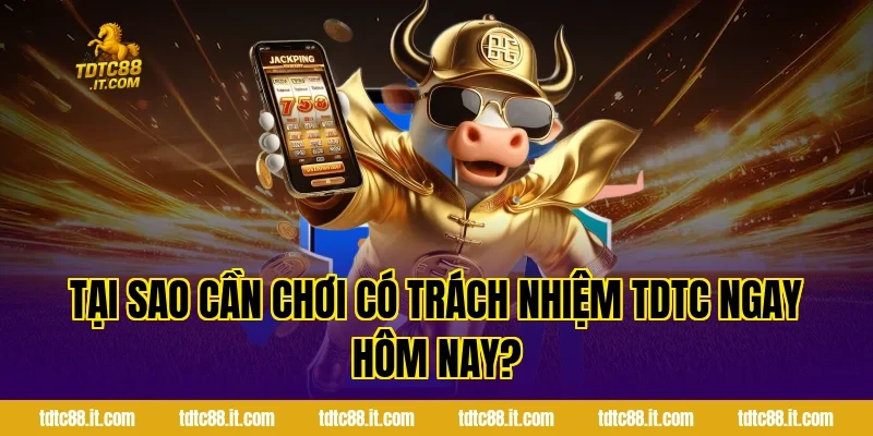 Chơi Có Trách Nhiệm TDTC – Cam Kết Giải Trí An Toàn 1 Tại sao cần chơi có trách nhiệm TDTC ngay hôm nay?