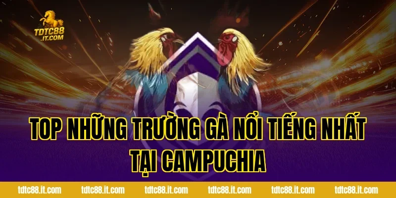 Top Những Trường Gà Nổi Tiếng Nhất Tại Campuchia