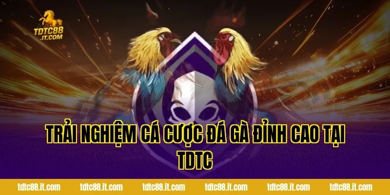 Trải Nghiệm Cá Cược Đá Gà Đỉnh Cao Tại TDTC