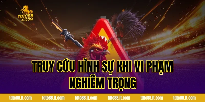 Truy cứu hình sự khi vi phạm nghiêm trọng