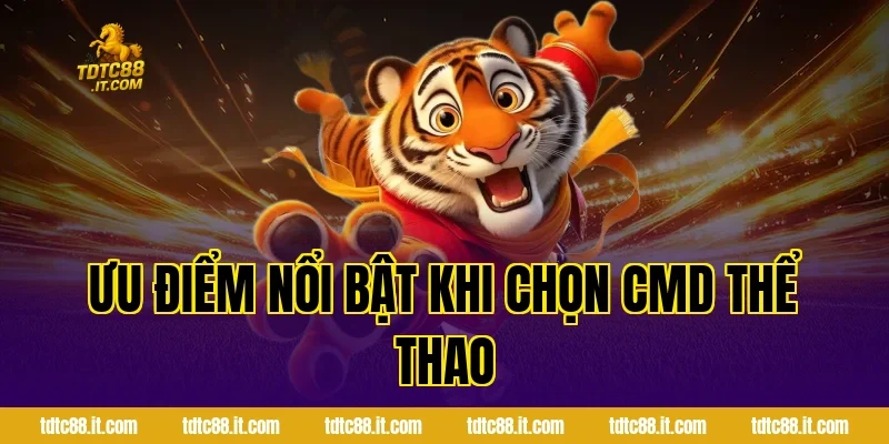 Ưu Điểm Nổi Bật Khi Chọn CMD Thể Thao
